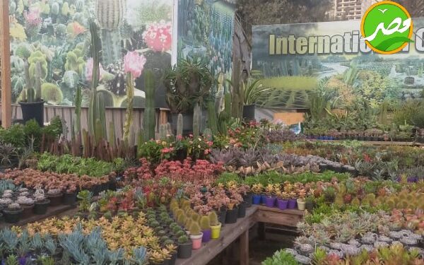 «الزراعة» تستعد لافتتاح معرض زهور الربيع "السبت" المقبل 1 معرض زهور الربيع
