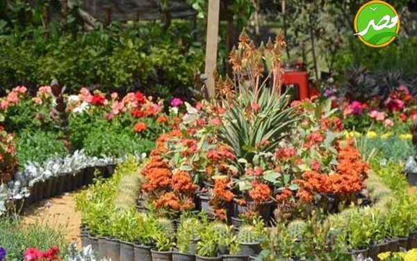 معلومات تفيدك عن حديقة الاورمان 1 حديقة الاورمان