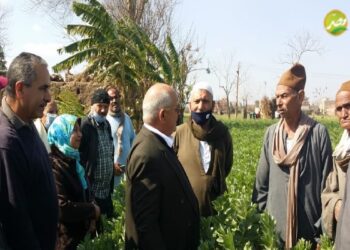 «وكيل زراعة المنوفية» يتابع محصول الفول ويقوم بالمرور على عدة قرى بالمحافظة