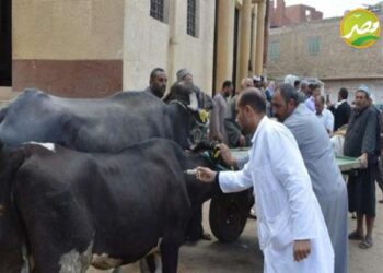 «الزراعة» تحصين أكثر من 1.3 مليون راس ضد مرض الجلد العقدي وجدري الاغنام