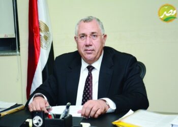 تصدير بيض تفريخ كتكوت