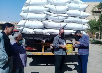 «الزراعة» تتابع استلام تقاوى خام المحاصيل الشتوية في 14 محطة على مستوى الجمهورية