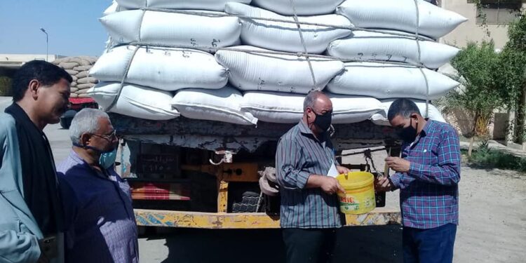 «الزراعة» تتابع استلام تقاوى خام المحاصيل الشتوية في 14 محطة على مستوى الجمهورية