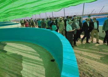 مشروعات الثروة السمكية