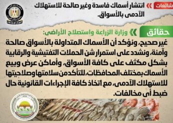 «الزراعة» توضح حقيقة انتشار أسماك فاسدة غير صالحة للاستهلاك الآدمي بالأسواق