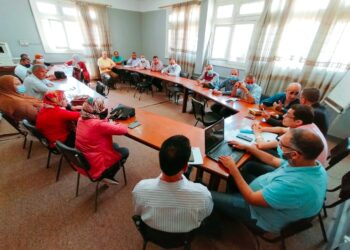 متبقيات المبيدات