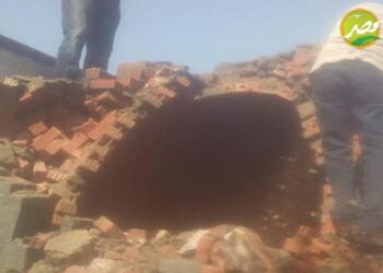 «وزير الزراعة» 22 فقط حالة تعد على الاراضي الزراعية اول ايام عيد الفطر وإزالتها بالكامل