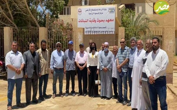 «الزراعة» تأهيل وتشغيل معمل انتاج طفيل "الترايكوجراما" بالواحات البحرية 1 «الزراعة» تأهيل وتشغيل معمل انتاج طفيل “الترايكوجراما” بالواحات البحرية