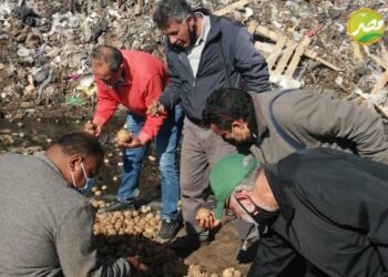 موقع «مصر الزراعية» يرصد أعمال “أمراض النباتات” خلال ابريل