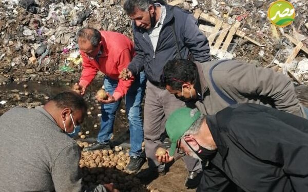 موقع «مصر الزراعية» يرصد أعمال "أمراض النباتات" خلال ابريل 1 موقع «مصر الزراعية» يرصد أعمال “أمراض النباتات” خلال ابريل