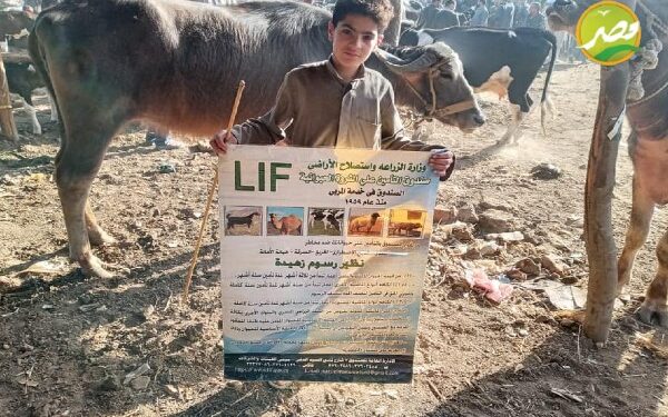 «الزراعة» صندوق التأمين على الثروة الحيوانية يطلق قافله بيطرية توعوية بالمنوفيه 1 «الزراعة» صندوق التأمين على الثروة الحيوانية يطلق قافله بيطرية توعوية في سوق الماشية بمحافظة المنوفيه