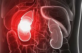 برنامج الأرض يوضح الفرق بين التسمم والمغص المعوى