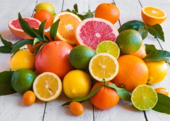 «الزراعة»تصدر نشرة بالتوصيات الفنية لمزارعي الموالح يجب مراعاتها خلال شهر يونيه