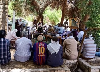 «بحوث الصحراء» يقدم حزمة ممارسات للإدارة المستدامة للمحاصيل بواحة الخارجة