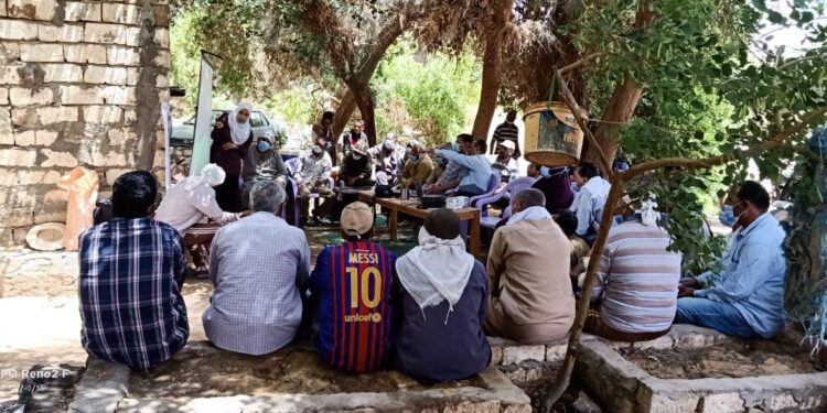 «بحوث الصحراء» يقدم حزمة ممارسات للإدارة المستدامة للمحاصيل بواحة الخارجة 1 «بحوث الصحراء» يقدم حزمة ممارسات للإدارة المستدامة للمحاصيل بواحة الخارجة