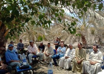 «الزراعة» تنظم مدرسة حقلية للنخيل في مركز فاقوس بمحافظة الشرقية