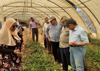 رئيسا “البحوث الزراعية والصحراء” يتفقدان محطة بحوث مريوط بالاسكندرية