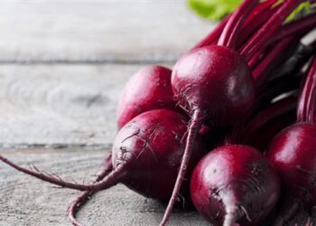 «وزير الزراعة» يتواصل مع شركات السكر لحل أزمة توريد البنجر بالتنسيق مع وزارة التموين