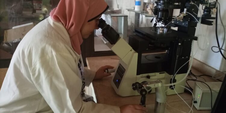 «الزراعة» إمداد معهد التناسليات الحيوانية بأحدث جهاز للحقن المجهري لزيادة الإنتاج الحيواني والتحسين الوراثي