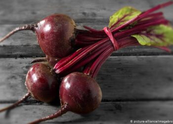 7 فوئد “للبنجرالأحمر” ابرزها حماية القلب وتحسين وظائف المخ