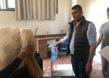 «الزراعة» تستعرض النشاط التدريبي لمعهد التناسليات الحيوانية خلال شهر يونيو