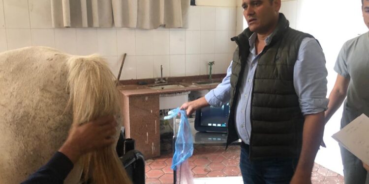 «الزراعة» تستعرض النشاط التدريبي لمعهد التناسليات الحيوانية خلال شهر يونيو