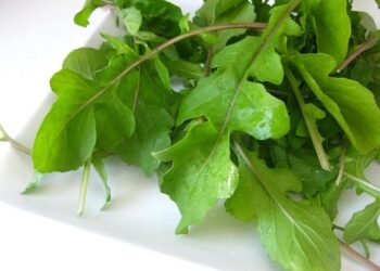 وقاية من السرطان وتحسين العظام ومفيدللقلب ..اعرف فوائد «الجرجير» ومخاطره