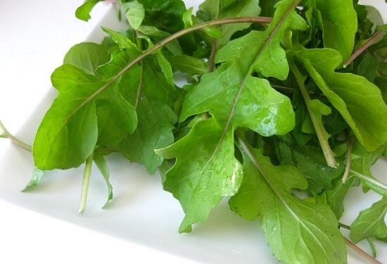 وقاية من السرطان وتحسين العظام ومفيدللقلب ..اعرف فوائد «الجرجير» ومخاطره 1 وقاية من السرطان وتحسين العظام ومفيدللقلب ..اعرف فوائد «الجرجير» ومخاطره