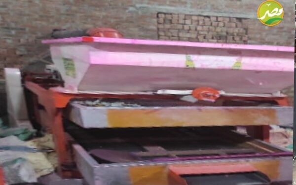 «الزراعة» ضبط أكثر من 11 طن تقاوى في محطة غربلة غير مرخصة بالمنوفية