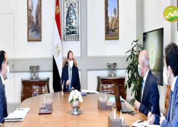 «الرئيس السيسي» يوجه بإضافة ميناء جديد “المكس” ما بين مينائي الإسكندرية والدخيلة.