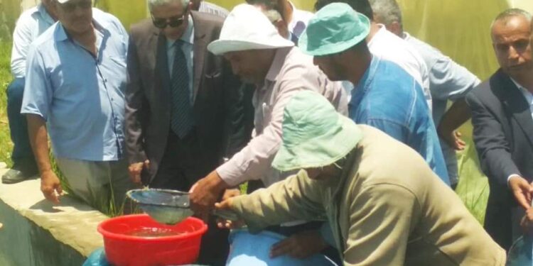 جولة تفقدية لرئيس هيئة الثروة السمكية بالمفرخ السمكي بمنطقة العباسة بالشرقية