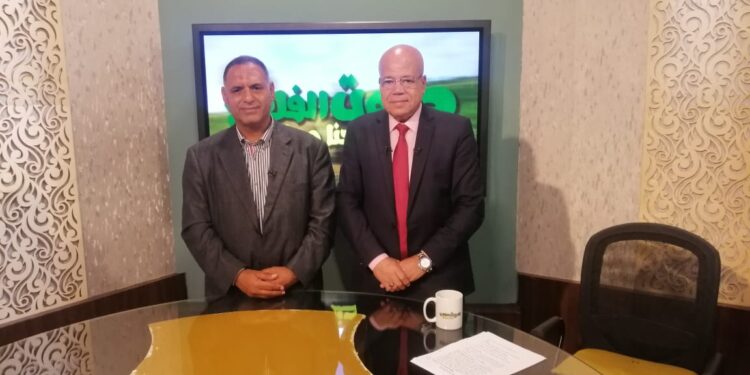 "عمران" مصر تفوقت في انتاج "البطيخ اللابذري" وسيغزو الأسواق خلال عامين 1 “عمران” مصر تفوقت في انتاج “البطيخ اللابذري” وسيغزو الأسواق خلال عامين