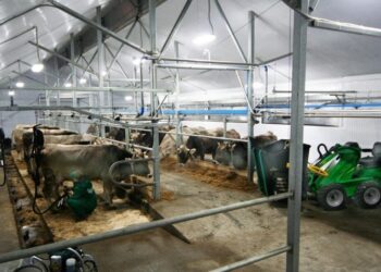 أهم المبانى الملحقة بمزرعة تربية “الأبقار”ومكوناتها