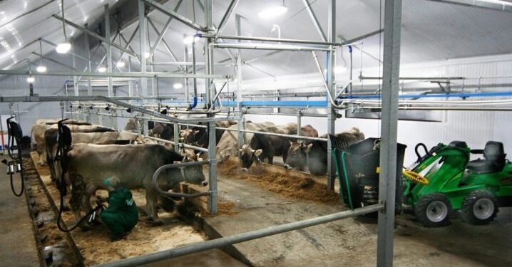 أهم المبانى الملحقة بمزرعة تربية "الأبقار"ومكوناتها 1 أهم المبانى الملحقة بمزرعة تربية “الأبقار”ومكوناتها