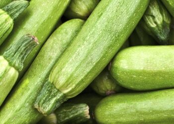 الكوسا والكورونا