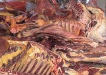 «الزراعة» ضبط أكثر من 218 طن لحوم ودواجن واسماك غير صالحة للاستهلاك الآدمي