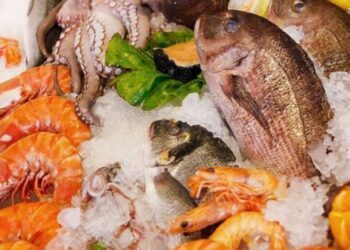 تراجع البلطي واستقرار الجمبري تعرف على أسعار الأسماك اليوم