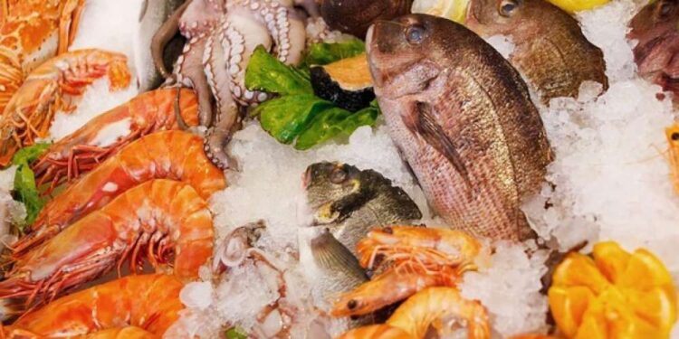 تراجع البلطي واستقرار الجمبري تعرف على أسعار الأسماك اليوم