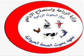 مصر كل يوم  التدريب ورفع كفائة البحوث التطبيقية