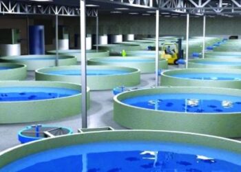 «وزير الزراعة» فخامة الرئيس عبدالفتاح السيسي أطلق المشروع القومي لتنمية البحيرات ومشروعات الثروة السمكية