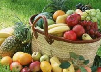 «الزراعة» تصدر نشرة بالتوصيات الفنية لمزارعي محصول الفاكهة المتساقطة