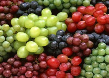 «الزراعة» تصدر نشرة هامة لمزارعي العنب للحصول على أعلى انتاجية