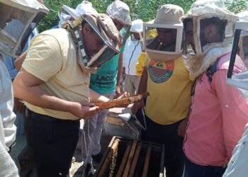 كيف تصبح نحالاً محترفاً “وقاية النباتات” ينظم دورة تدريبية