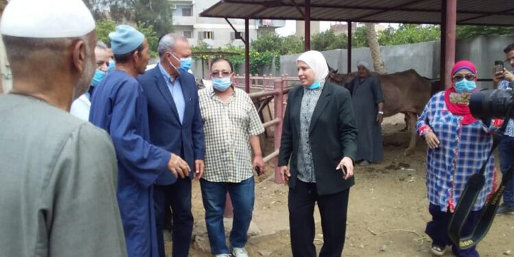 «الزراعة» معهد التناسليات الحيوانية ينظم قافلة بيطرية مجانية في قرى محافظة القليوبية