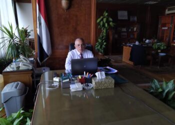 “عبدالعاطي” زيادة معدلات سقوط الأمطار بمنابع النيل ومتوقع زيادة منسوب بحيرة السد العالي