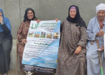 «مجاناً» الزراعة تفحص وتعالج أكثر من 4000 حيوان مجانا لصغار المربيين في محافظة القليوبية