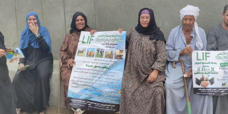 «مجاناً» الزراعة تفحص وتعالج أكثر من 4000 حيوان مجانا لصغار المربيين في محافظة القليوبية 1 «مجاناً» الزراعة تفحص وتعالج أكثر من 4000 حيوان مجانا لصغار المربيين في محافظة القليوبية