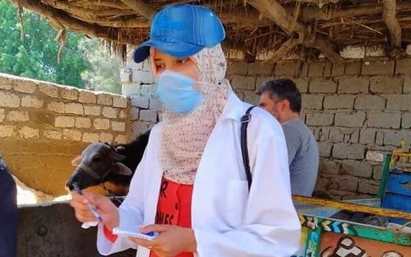 «الزراعة» حملات ميدانية لأسواق المواشي والقرى والمنازل للتأكد من سلامة الأضاحي قبل العيد