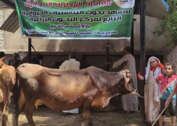 «الزراعة» فحص وعلاج وتلقيح أكثر من 4800 حيوان مجانا لصغار المزارعين والمربين في بنى سويف