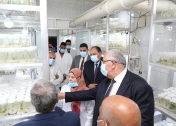 «القصير» يتفقد معمل أبحاث النخيل ويوجه بزيادة انتاج الشتلات لخدمة المشروعات القومية
